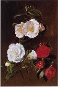 unknow artist Floral, beautiful classical still life of flowers 028 France oil painting artist